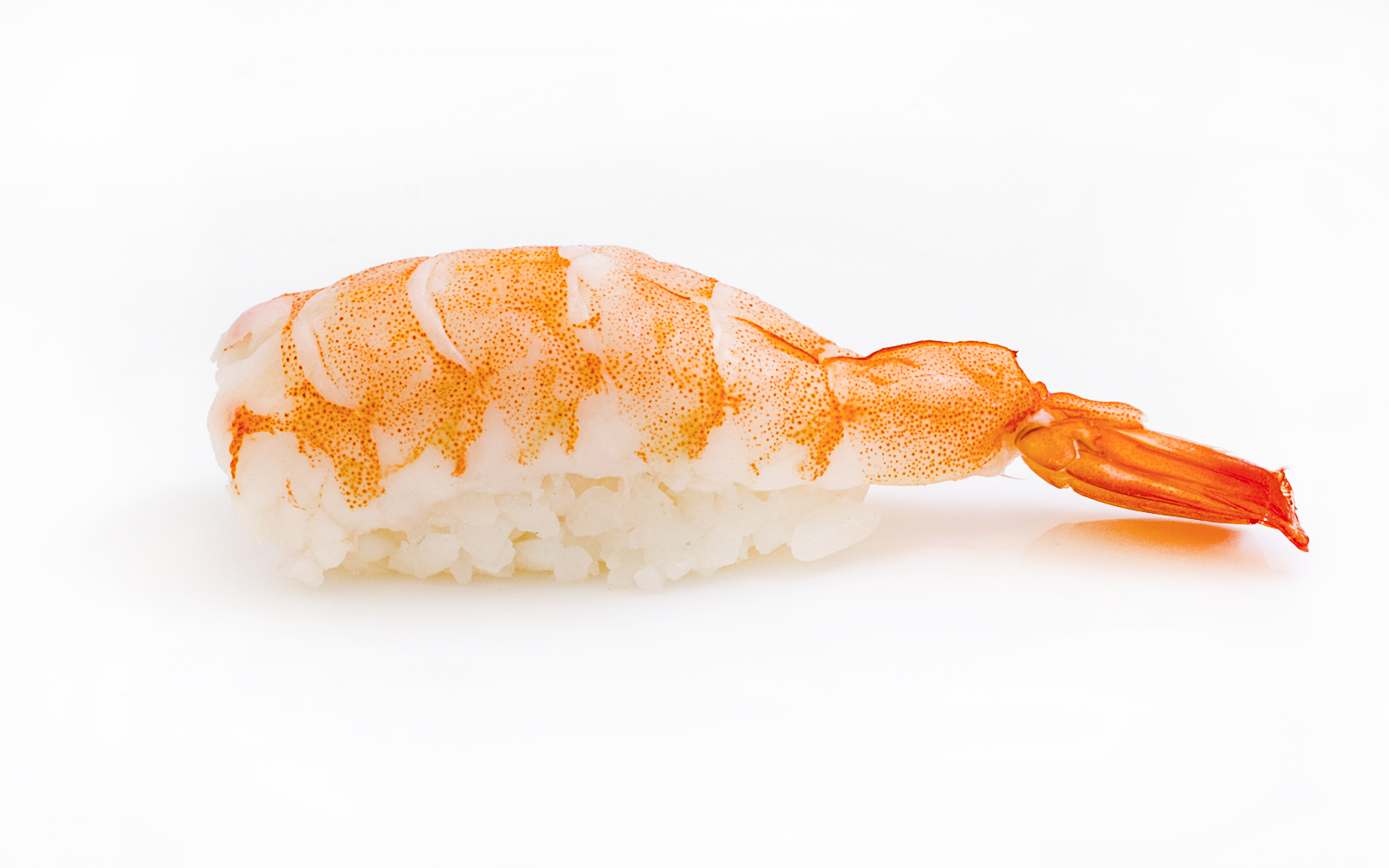 Ebi