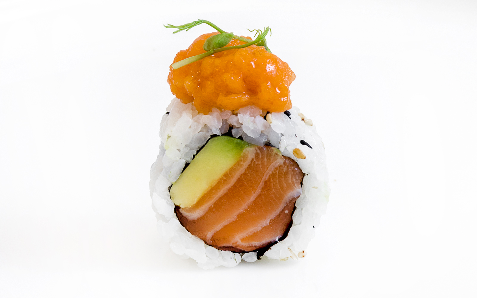 Spicy Sake